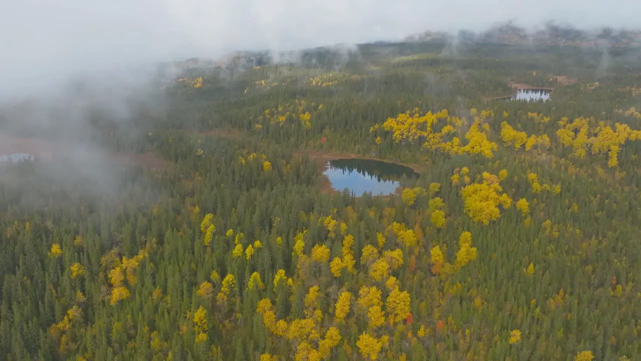 Colorful autumn Drone shot from the Forrest and lakes in Norway