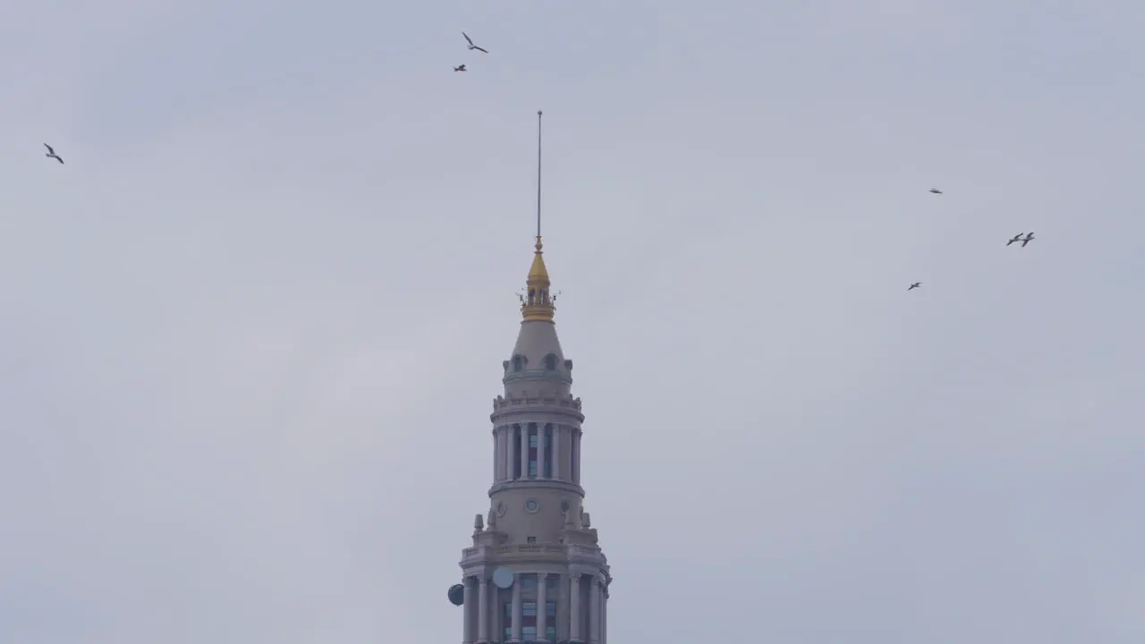 Birds flying around a spire in Cleveland Ohio on a cloudy day