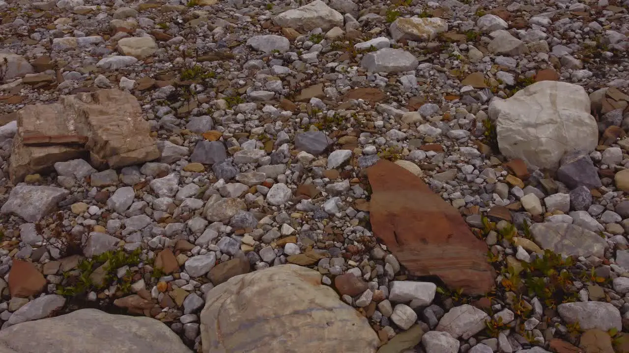 Rock step formation and glacier reveal