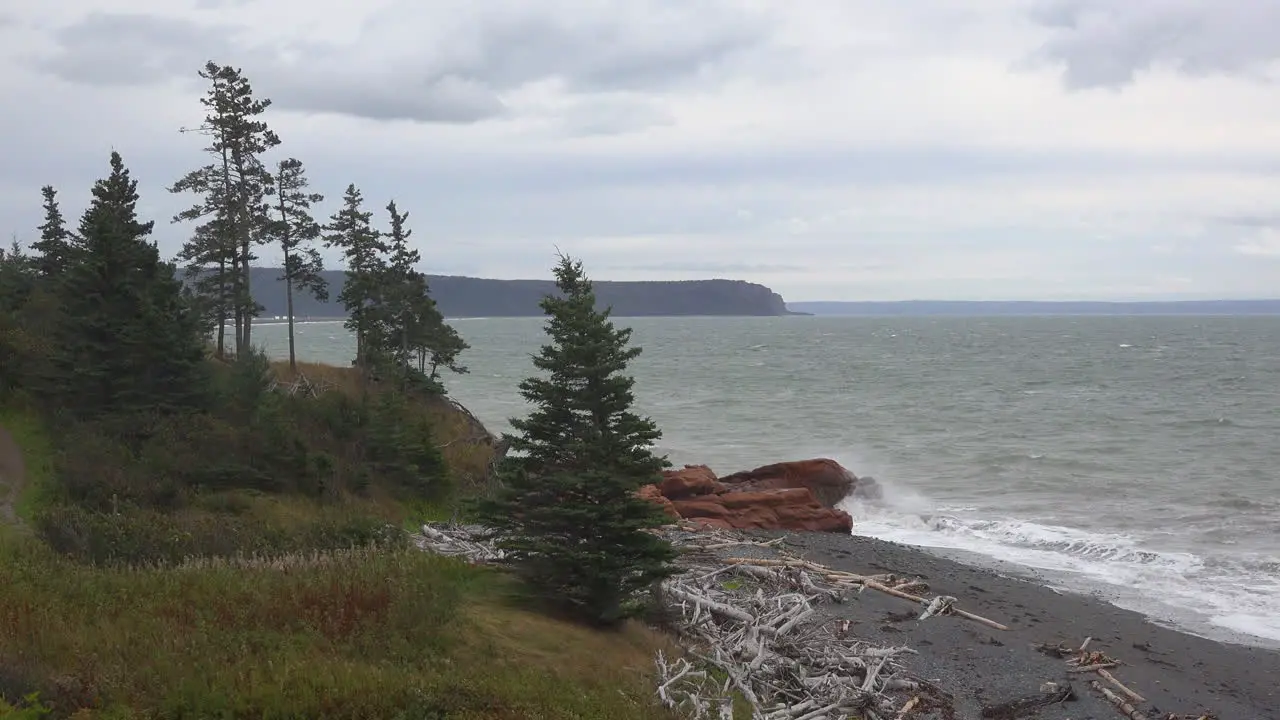 Canada Bay Of Fundy Trees On Rise Above Coast