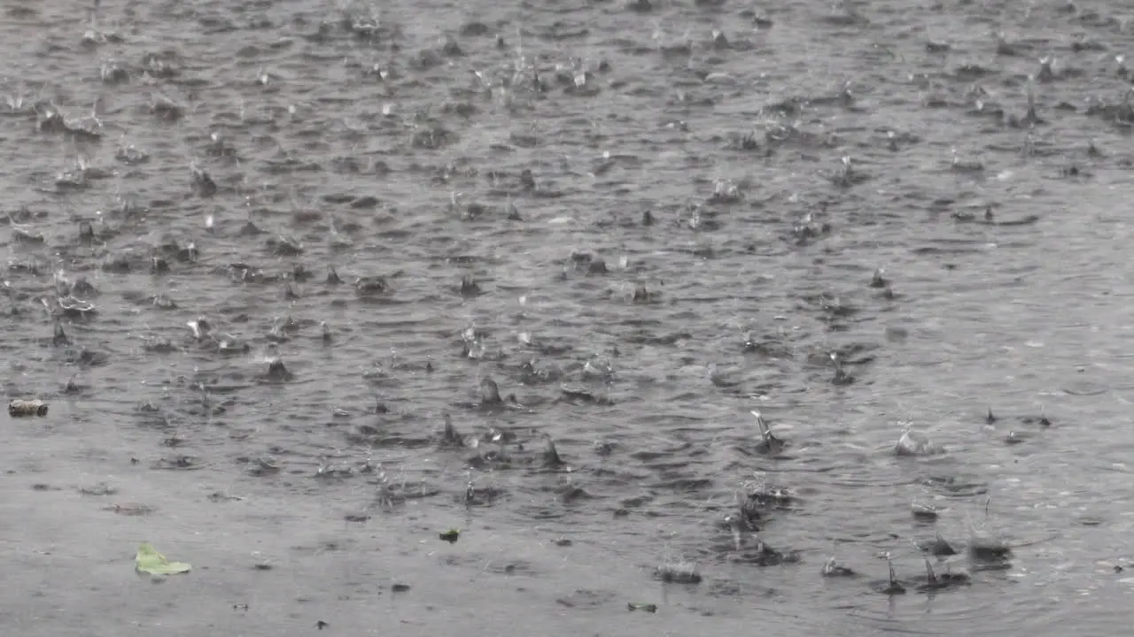 Raindrops splashing in a water puddle during a storm