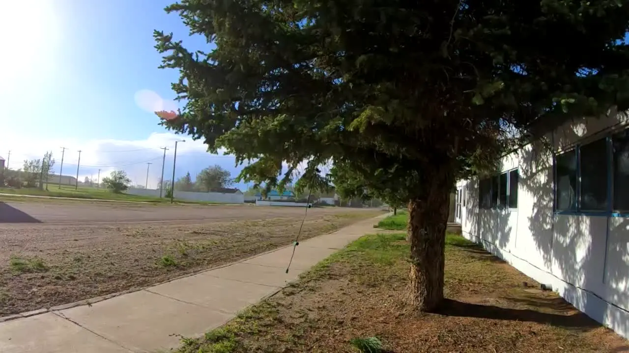 SLOW MOTION Christmas lights blowing in the wind hanging out of a tree in the summer