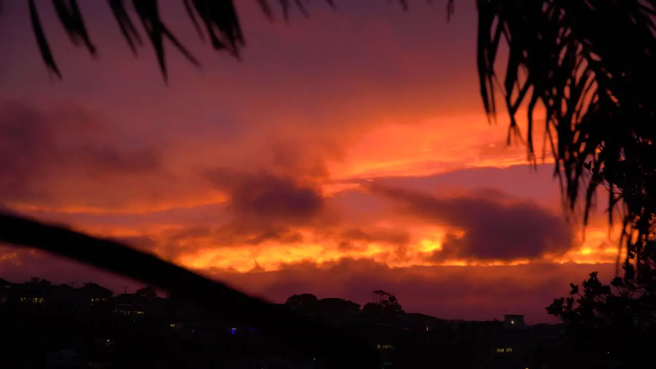 Beautiful stormy fire sunset with palm trees