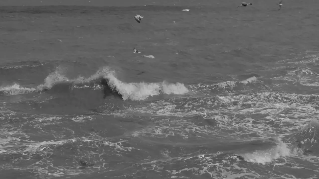 Black and White Waves Crashing