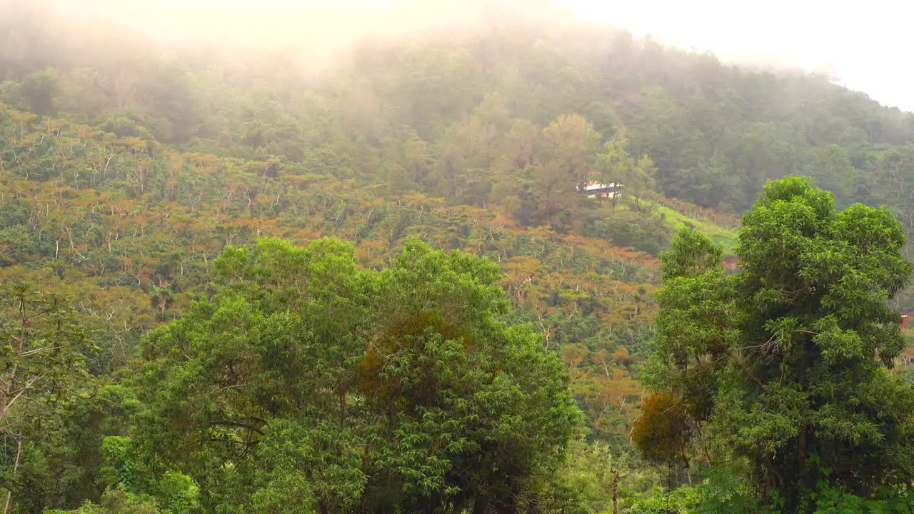 Field in foggy day Guatemalan landscape