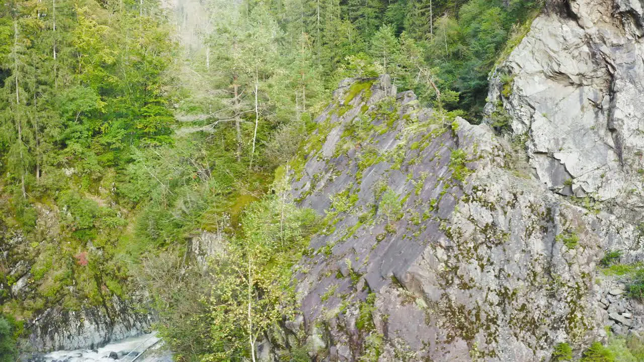 Valley with rocks cliff and trees along river