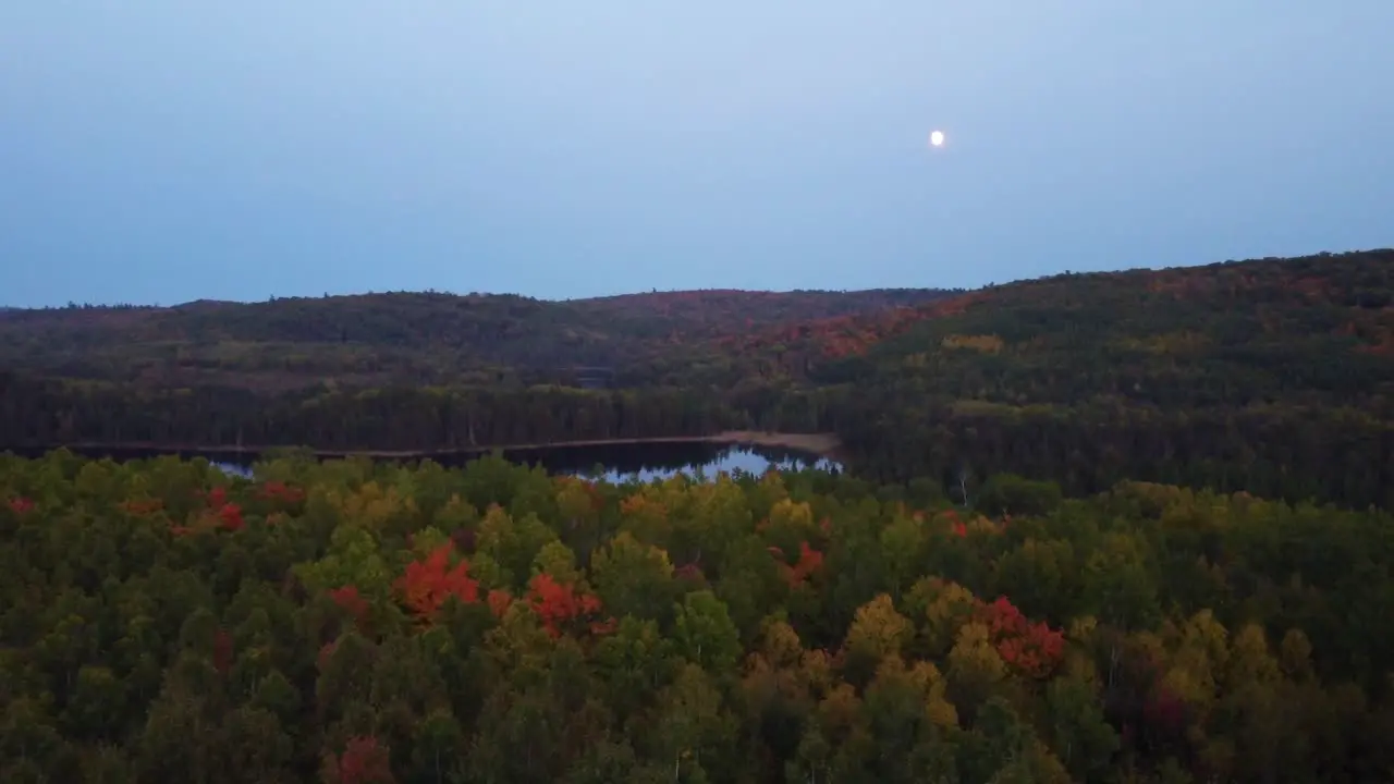 Autumn forest near lake moon shines in the night sky