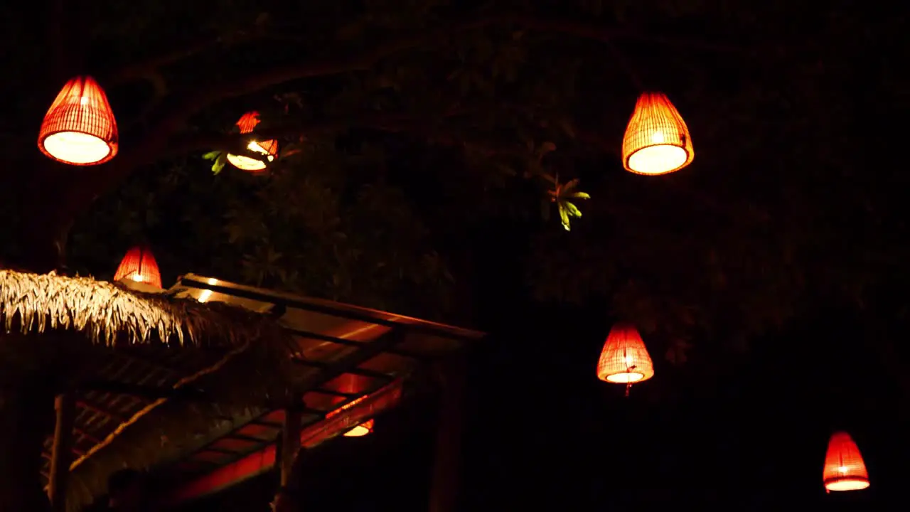 Thailand lantern hanging from a tree and swaying in the night breeze