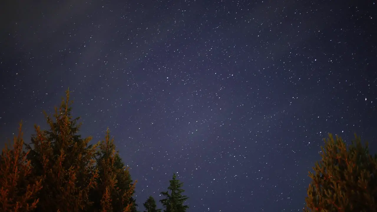 White Clouds Over The Trees With Starry Sky In The Background