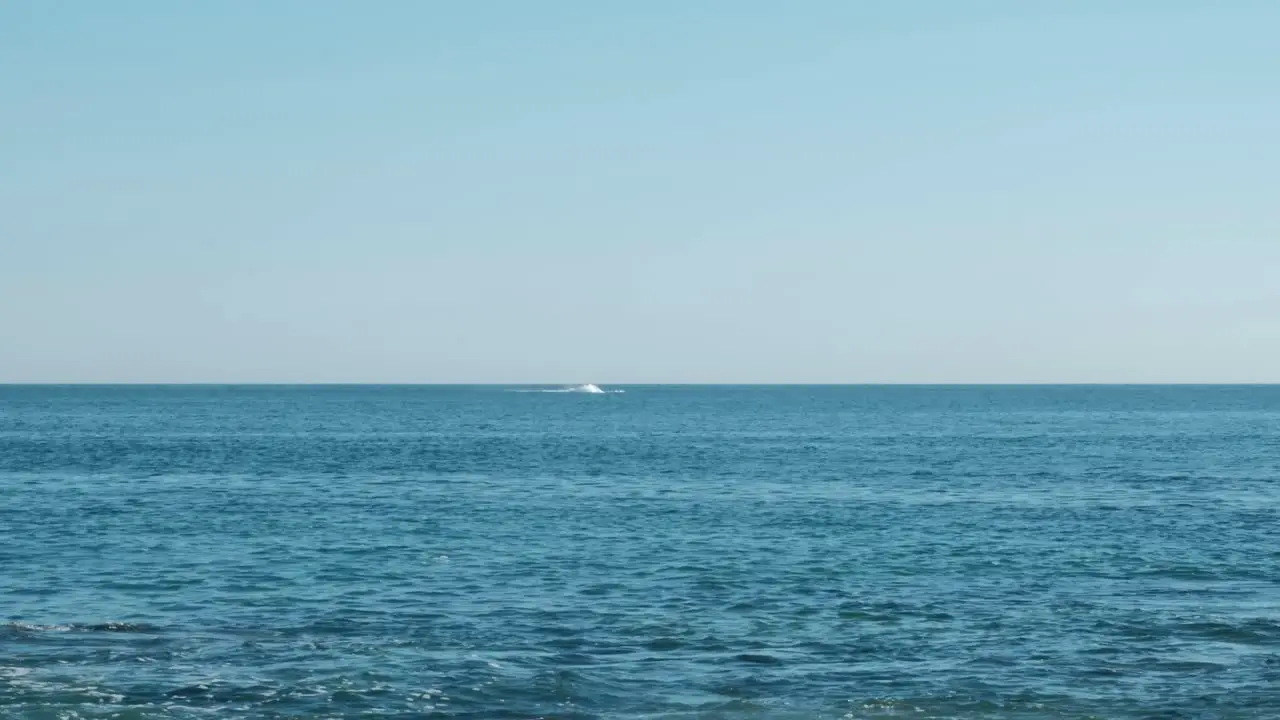 A whale breaching out of the ocean in the distance