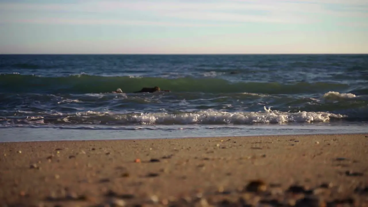 Ocean beach waves static shot with defocused foreground