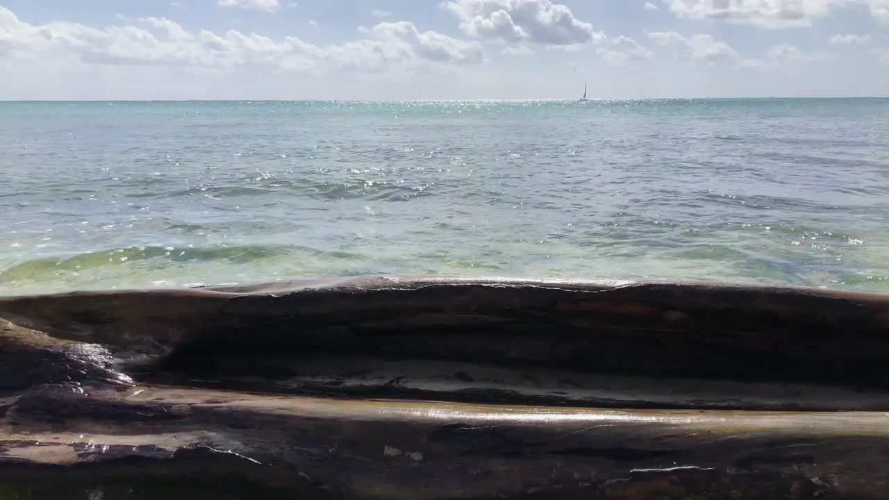 a tree trunk on the beach with waves of the sea in the background