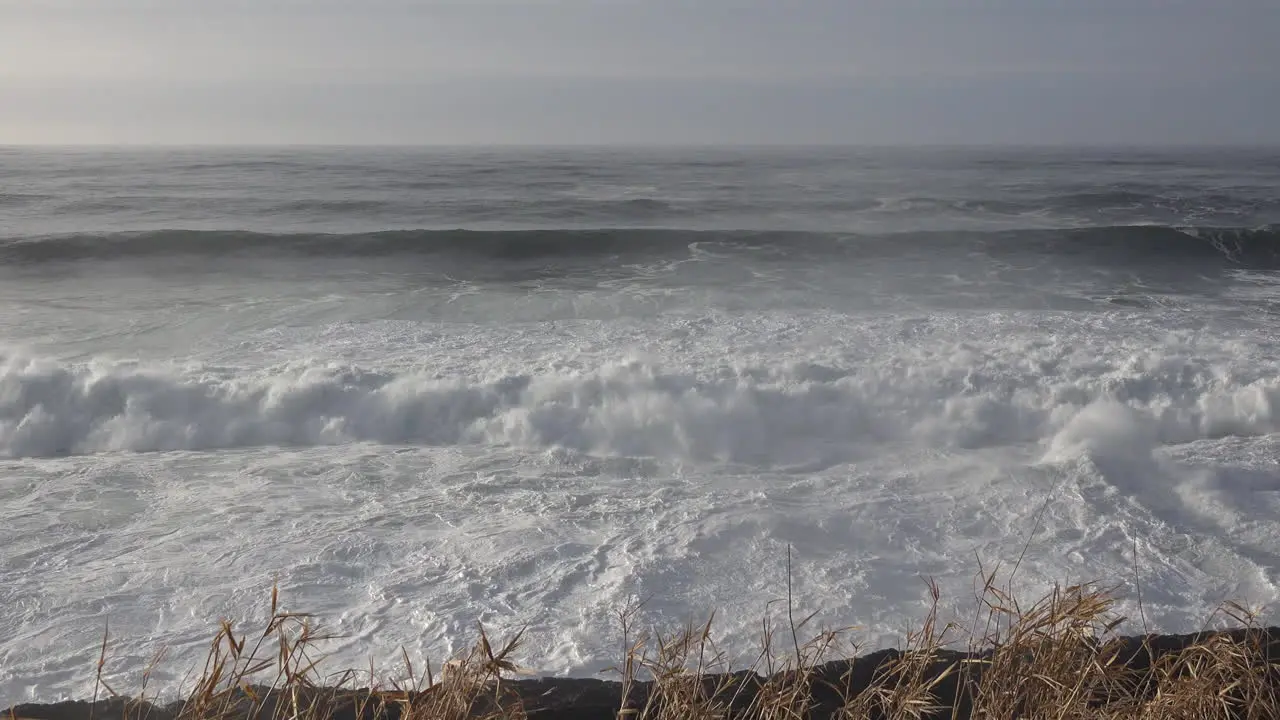 Oregon rows of breakers roll in with bird