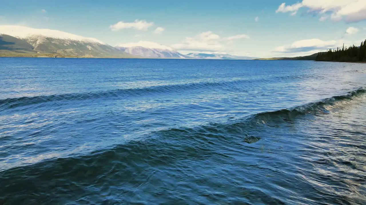 Small waves washing over Atlin Lake shore