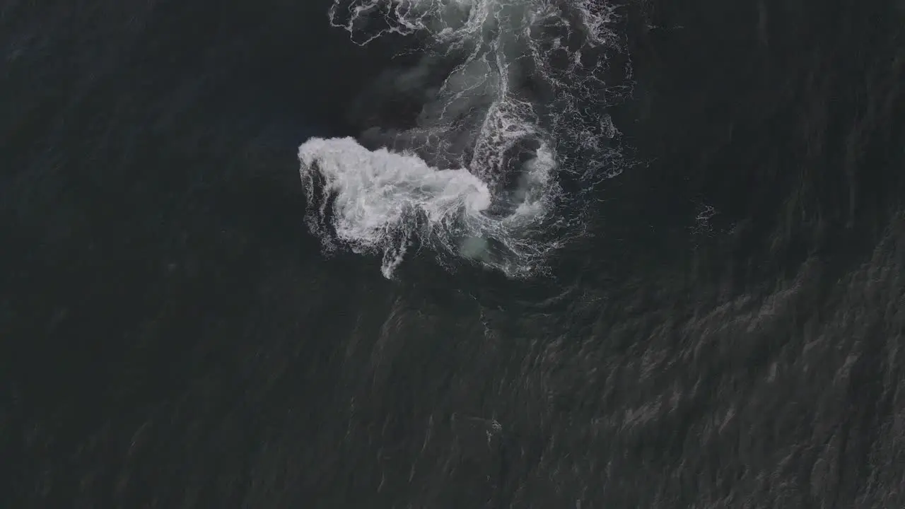 Top-down Shot Of Breaking Wave On A Bombora Gordon's Bay Bommie Rock Sydney NSW Australia aerial