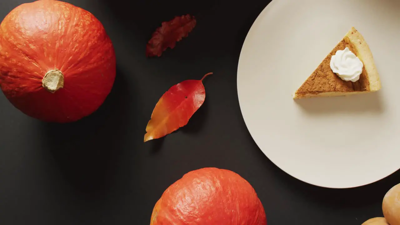 Video of piece of pumpkin pie with whipped cream and pumpkins with leaves on black background