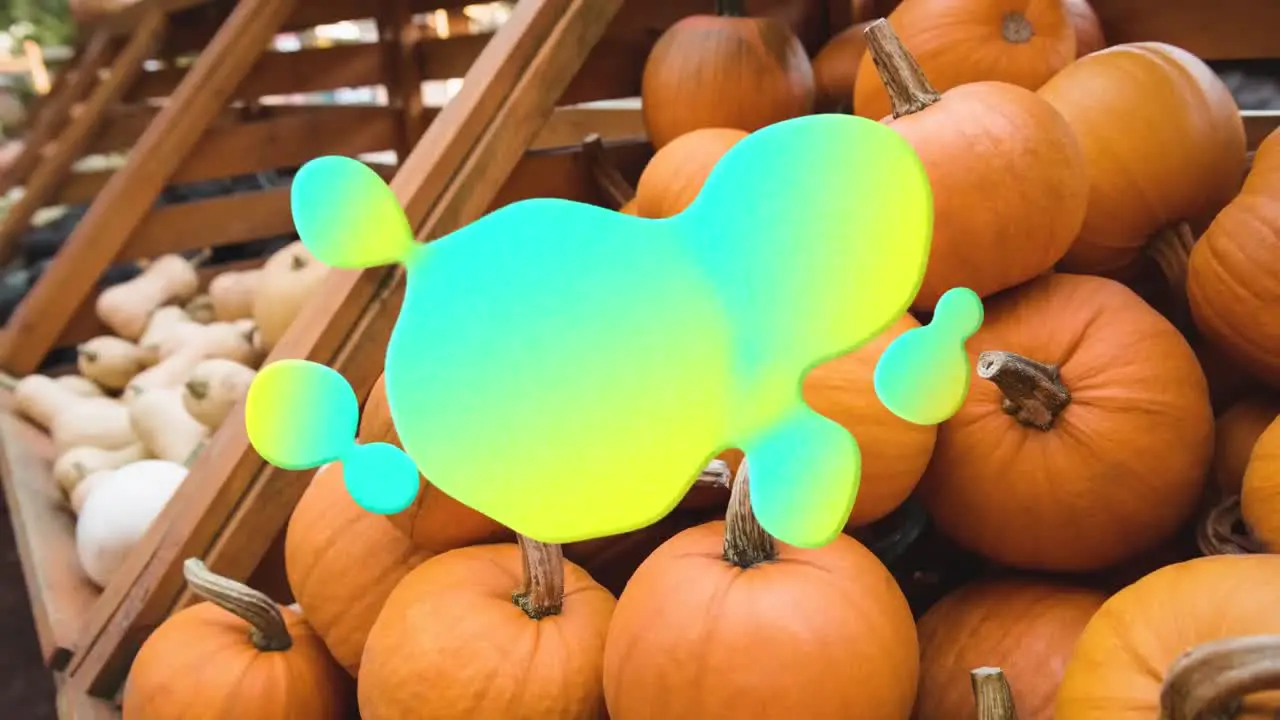 Animation of blue and yellow splash over pumpkins on shelves