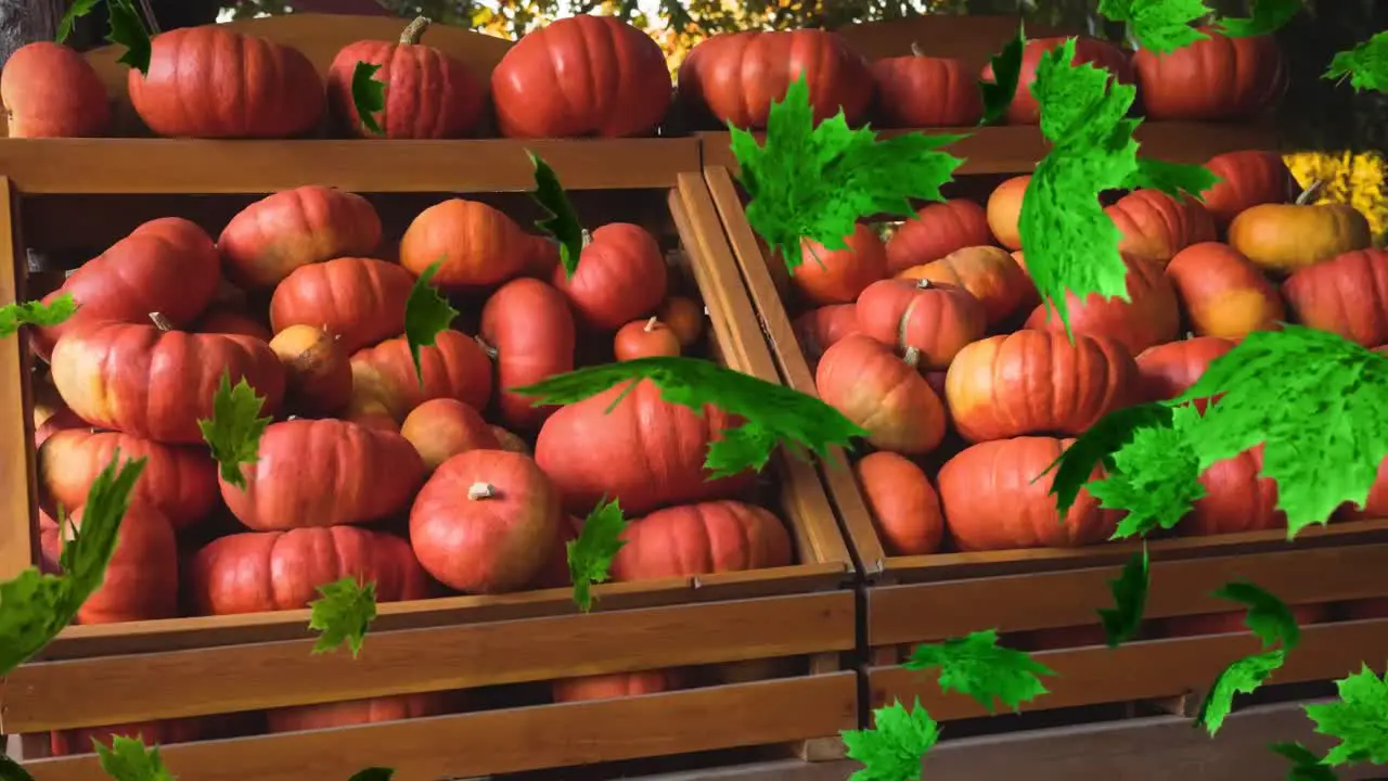 Animation of autumn leaves falling over pumpkins on shelves