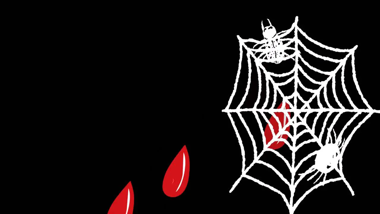 Animation of blood and spiders web on black background