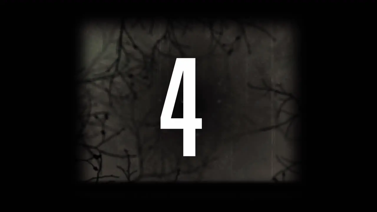 Number countdown over vhs glitch effect against creepy trees on black background