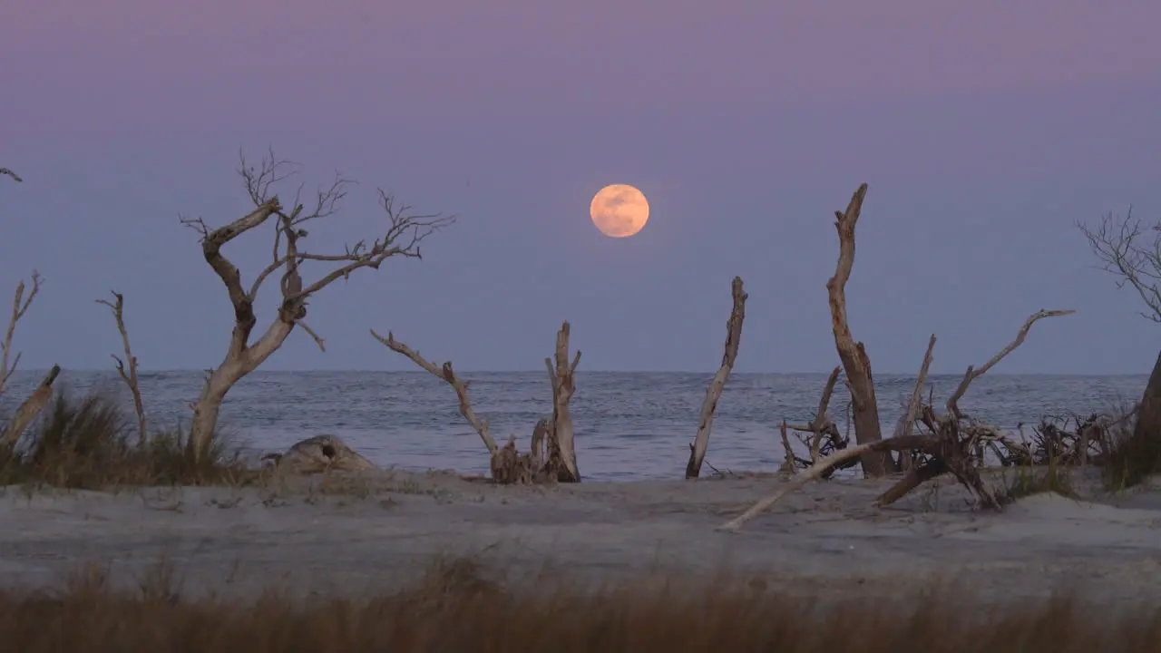 Full moon rising over the ocean at sunset