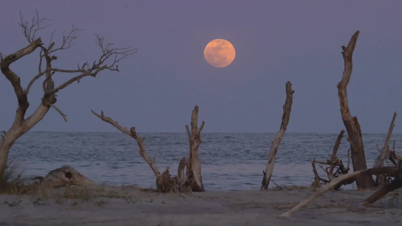 Full moon rising over the ocean at sunset medium wide