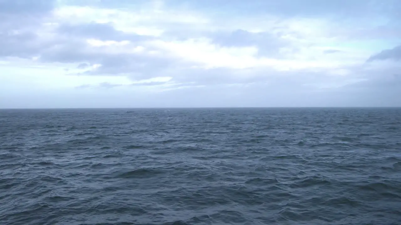 Whale tour boat on the high seas in Iceland watching whales