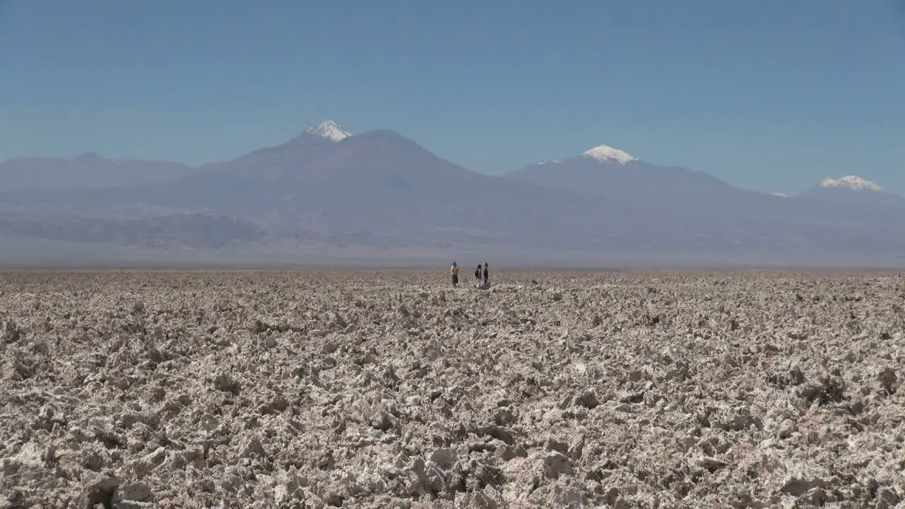 Chile Atacama Laguna Chaxa clumpy texture salt flat 28