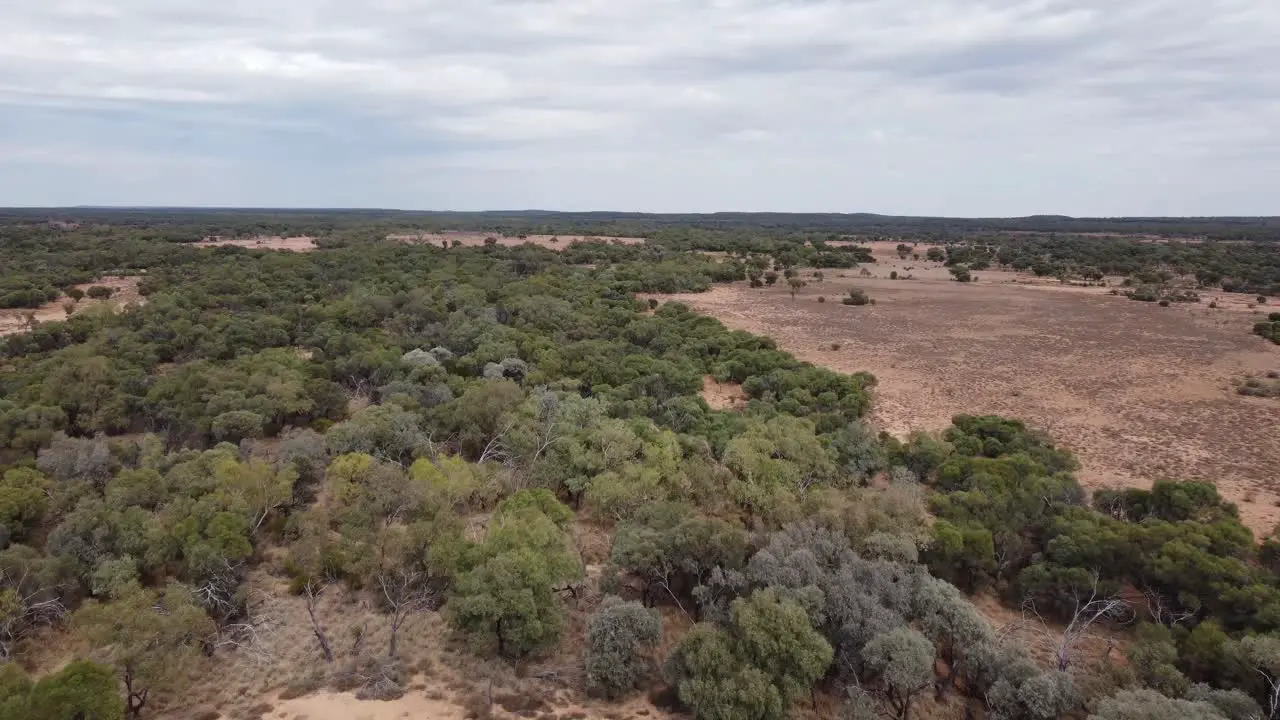 Aerial view of a remote Australian outback land with trees and bushes below