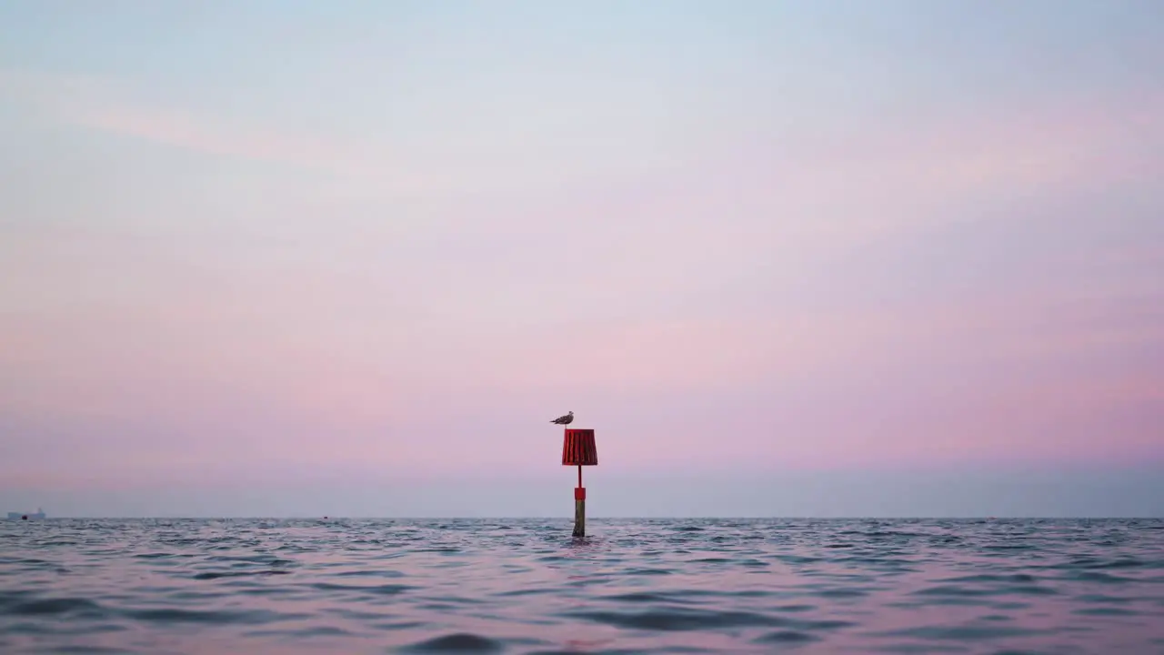 Seagull standing on a bouy in the middle of the sea at dusk