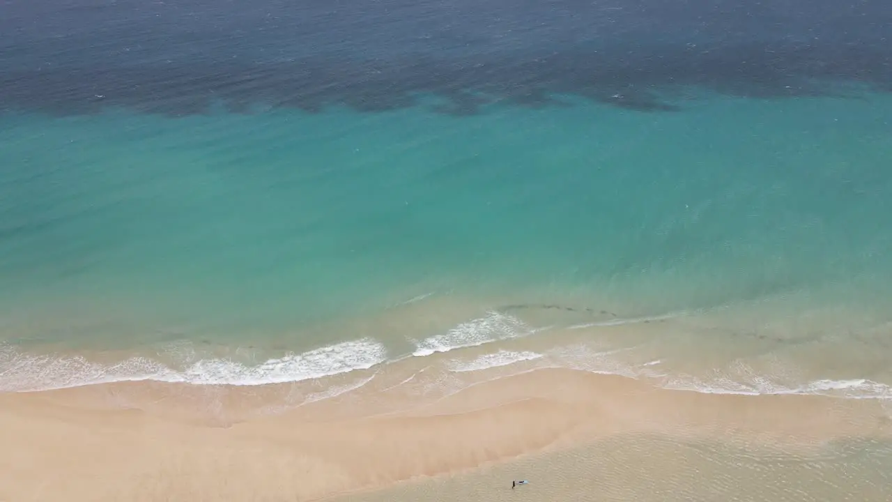 aerial drone shot of a beautiful beach with clear water in Fuerteventura in the Canary Islands