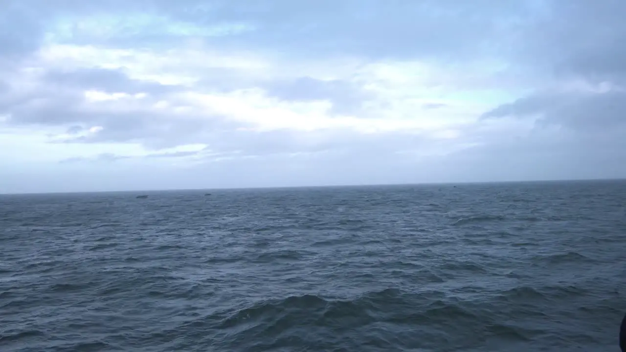 Tourist filming a whale spout with a phone on a whaletour near Iceland