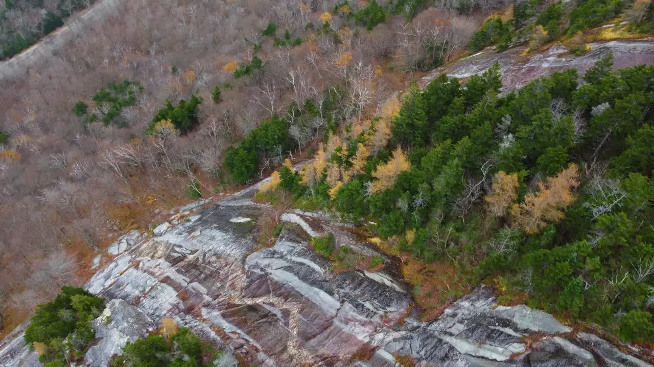 Overlooking a steep granite rock field in a mountain range among pine trees