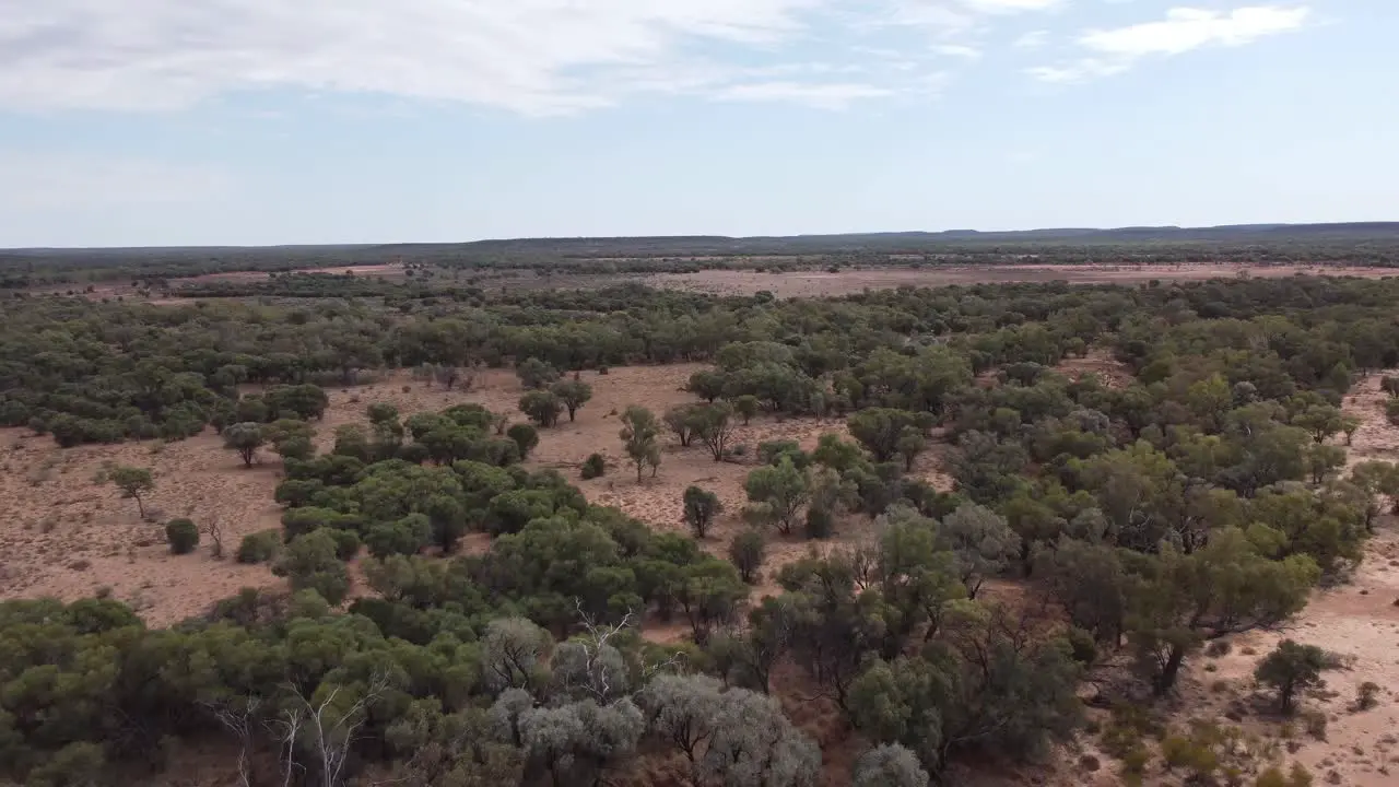 Aerial view of a remote Australian outback land with bushes and trees