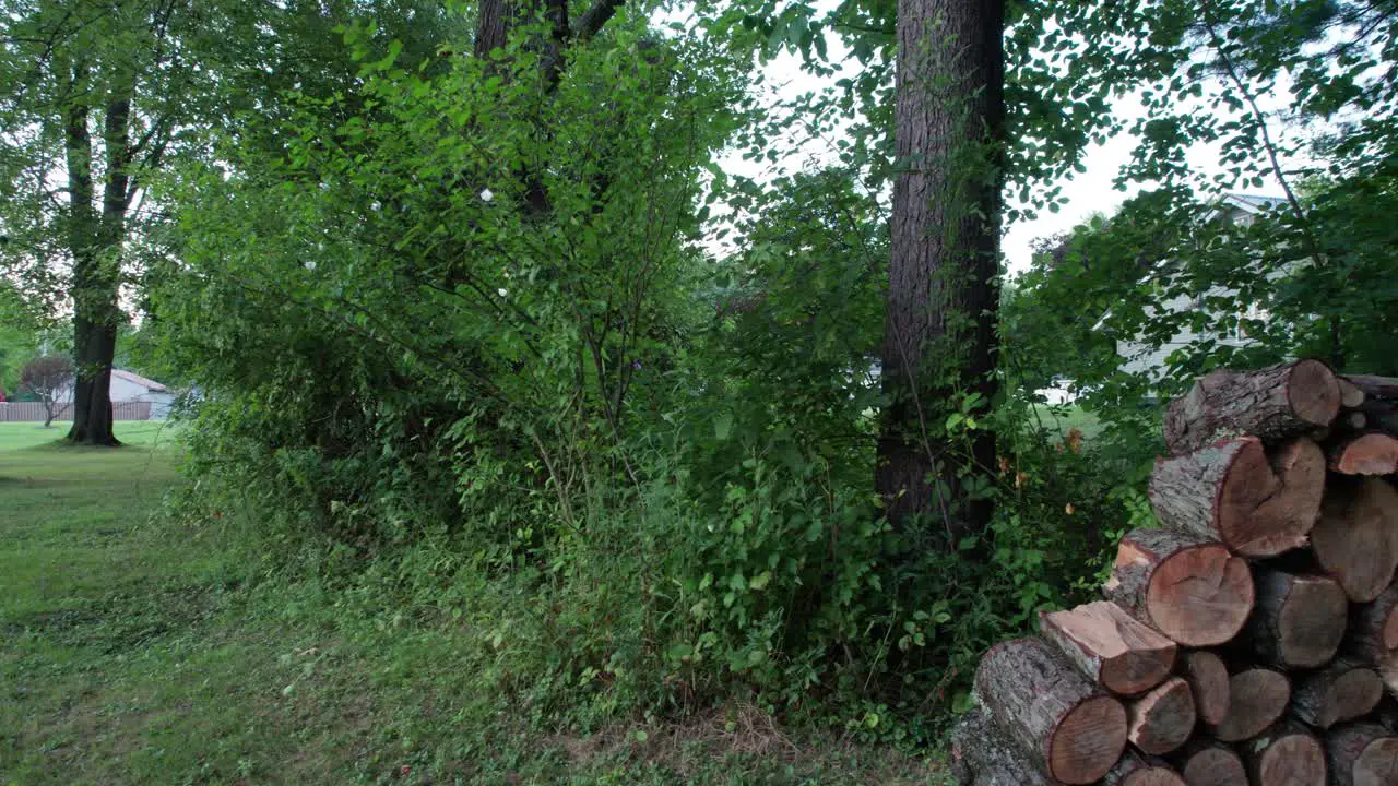 Panoramic shot of the logs of firewood stacked above each other in the shape of pyramid in front of a tree outside