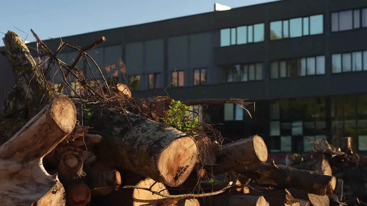 Pile of Firewood Logs in front of Apartment Building Heating Season