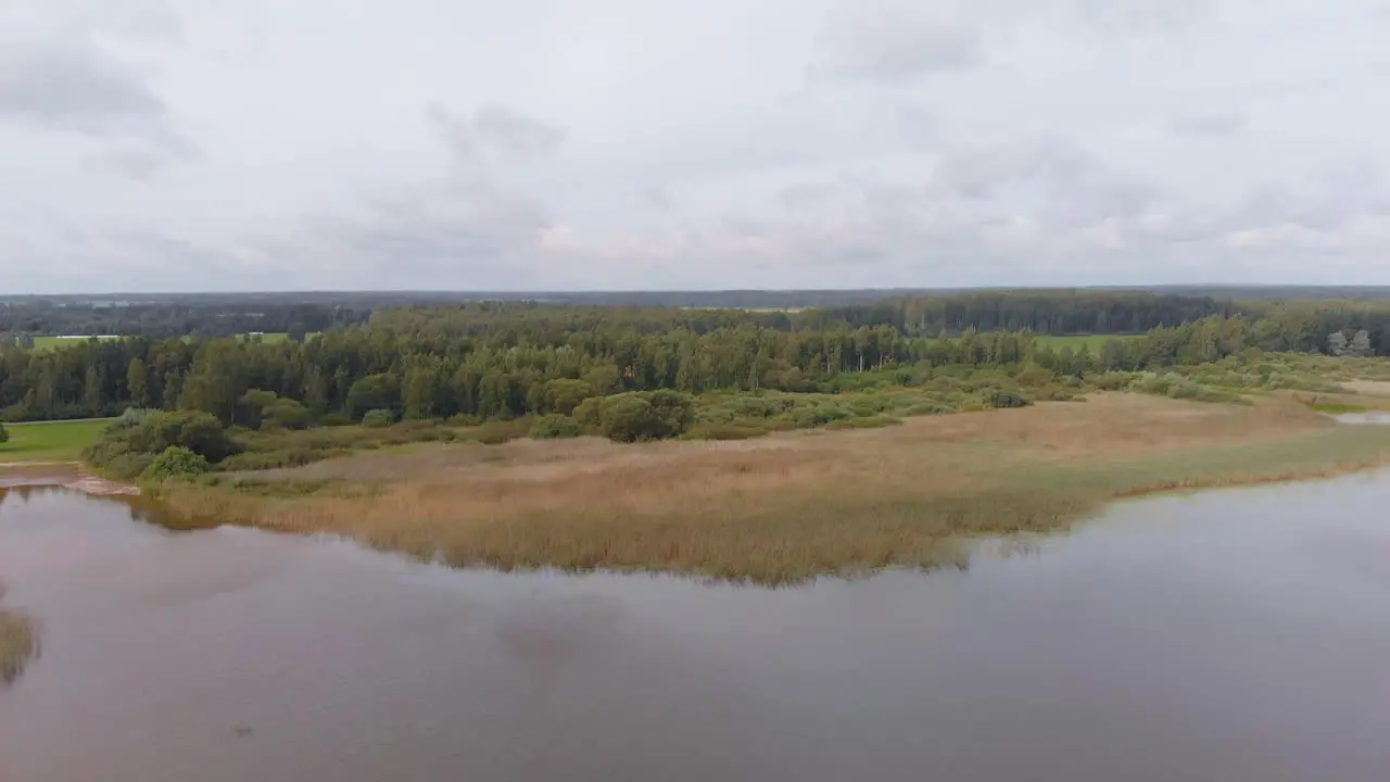 Vast Vortsjarv lake woods facade Estonia Europe aerial drone shot