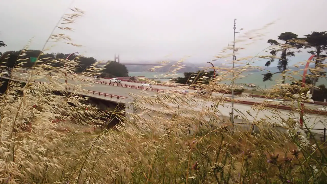 Gimbal static shot of the Golden Gate Bridge in fog with grass in the foreground outside the Presidio of San Francisco California