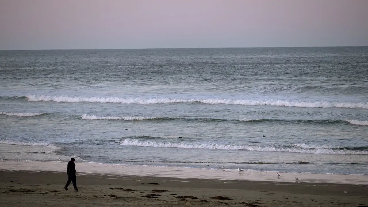 Silhouette of a person walking along the beach on a breezy day static view with seagulls and waves