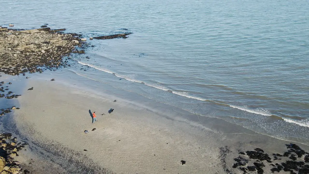 Man plays fetch with dog on beach aerial wide shot