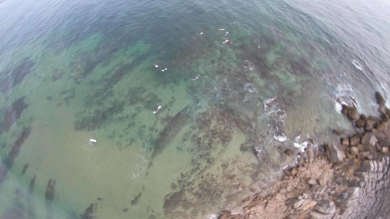 circular movement using a fisheye of green and amazing ocean