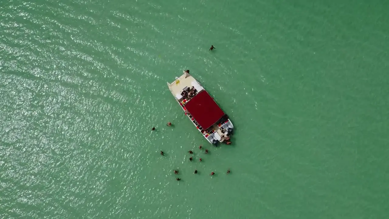 Bird's eye view drone shot over tourist boat in the sea where people are standing in the green sea enjoying the sea