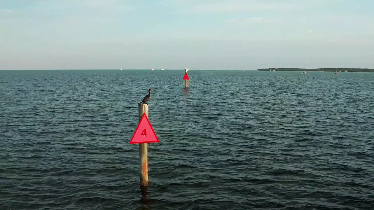 A cormorant perches on a channel marker post surrounded by gently rippling water