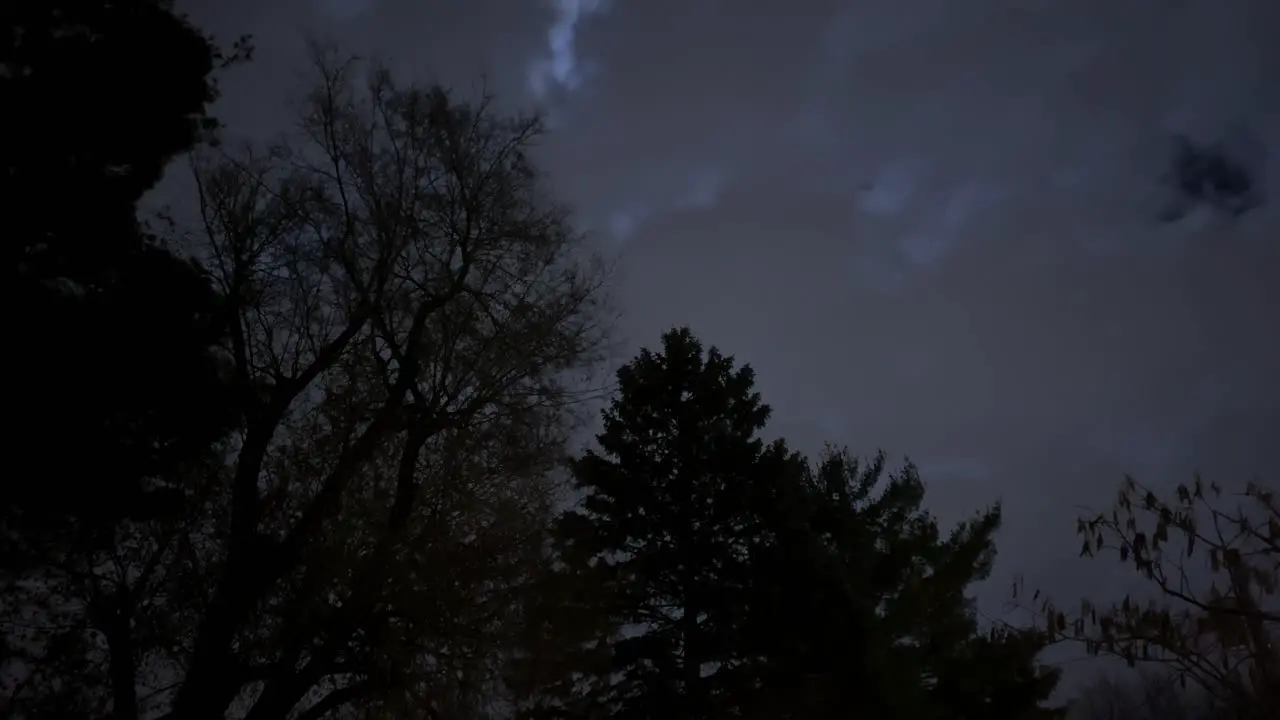 A night time lapse of clouds backlit by the moon rushing over a bare trees and pine trees during winter