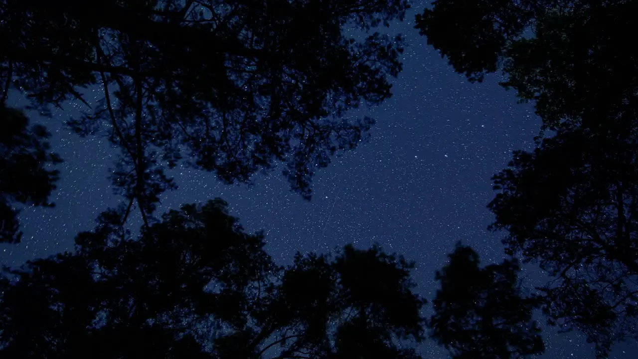 Nightsky Timelapse rotating stars and beautiful trees in the foreground