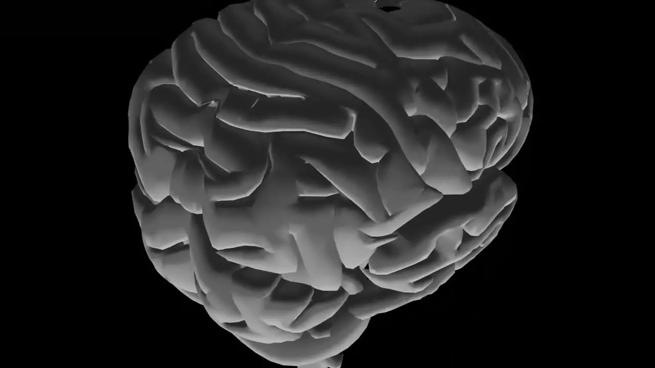 Animación 3d Del Cerebro Humano