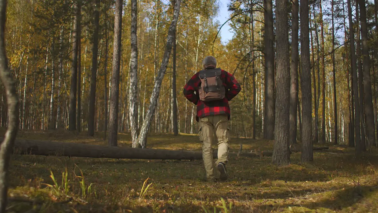 Trekking De Un Turista Solo En El Bosque En El Día De Otoño Vista Posterior De La Figura Masculina Con Mochila Unidad Del Ser Humano Y La Naturaleza