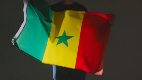 Studio Shot Of Anonymous Person Or Sports Fan Waving Flag Of Senegal Against Black Background