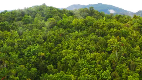 La Naturaleza Es La Definición Misma De La Belleza