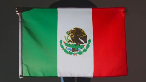 Studio Shot Of Anonymous Person Or Sports Fan Holding Flag Of Mexico Against Black Background